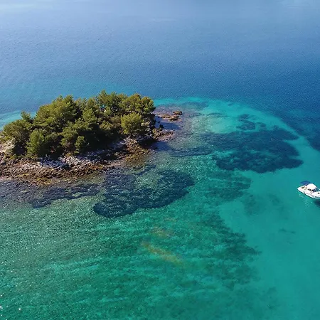 Amazing In With Sauna * Drače