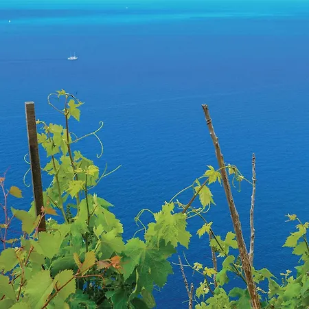 Amazing In With Sauna