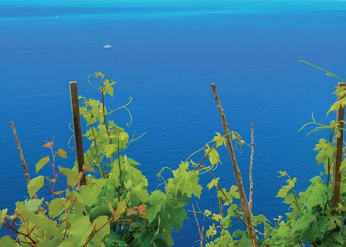 Amazing In With Sauna